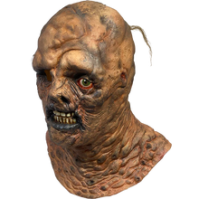 Load image into Gallery viewer, Scary mask with detailed texture on a white background