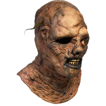 Load image into Gallery viewer, Scary mask with detailed texture on a white background