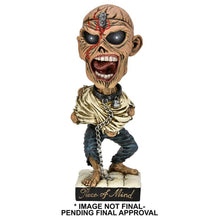 Load image into Gallery viewer, front of figure on display