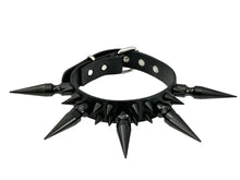 Load image into Gallery viewer, collar on display