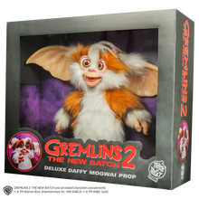 Load image into Gallery viewer, Boxed Gremlins 2 Daffy Mogwai prop with character illustration on a white background