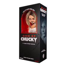 Load image into Gallery viewer, doll in display box