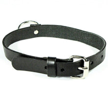 Load image into Gallery viewer, back of collar