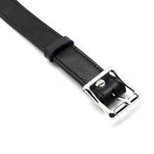 Load image into Gallery viewer, buckle on collar on display