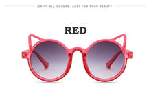 Load image into Gallery viewer, front of glasses on display