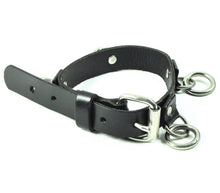 Load image into Gallery viewer, back of collar