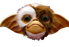 Load image into Gallery viewer, front of mask on display