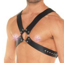 Load image into Gallery viewer, model wearing harness