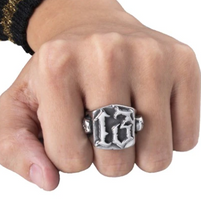 Load image into Gallery viewer, model showing ring