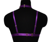 Load image into Gallery viewer, back of harness