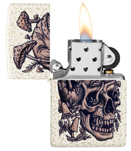 Load image into Gallery viewer, zippo on display