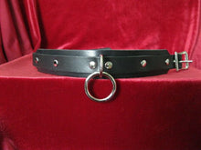 Load image into Gallery viewer, front of collar on display