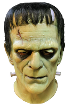 Load image into Gallery viewer, front of mask on display